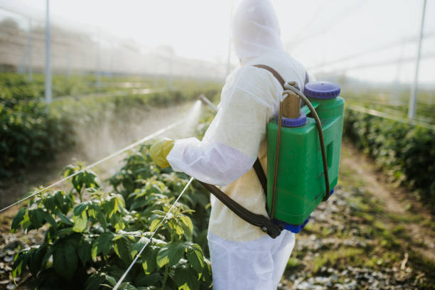 Professional Pest Control in Nellis Af, NV